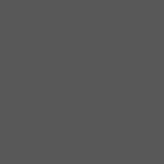 Pewter / EC-755