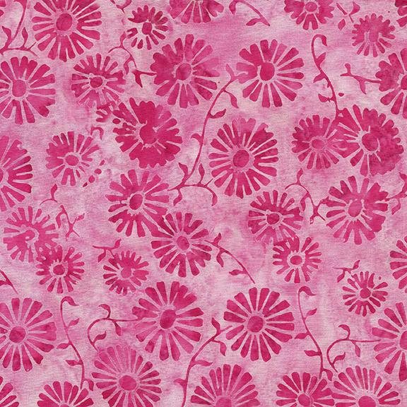 Daisy-Pink Carnation
