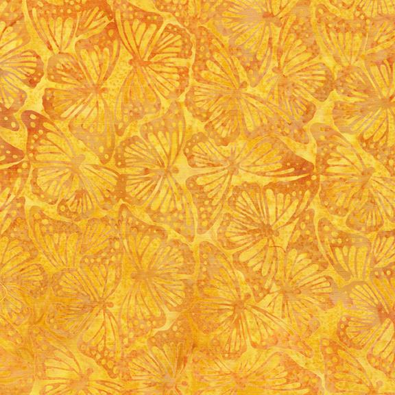 Monarch-Yellow Honey