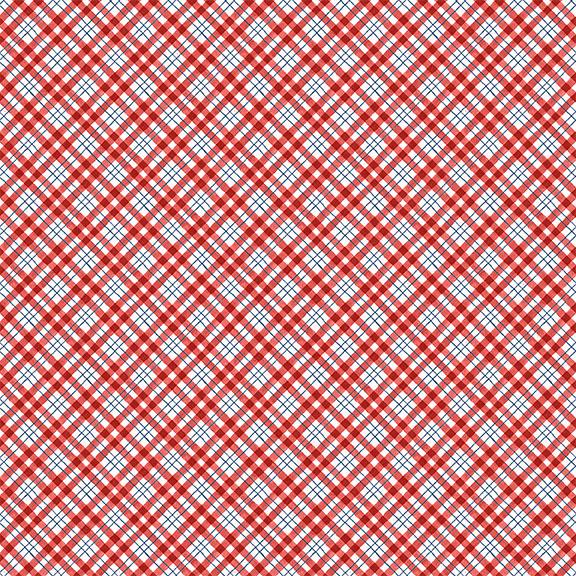 Diagonal Plaid-Red