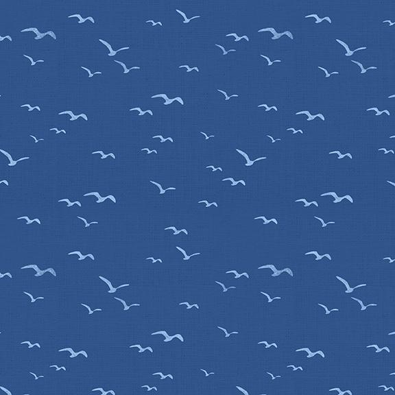 Seagulls-Navy