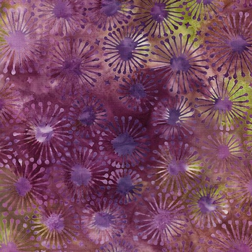 [712406892] Dandelion-Multi Purple Yellow