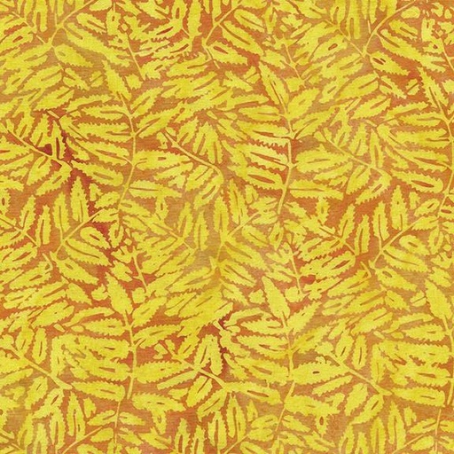 [112412270] Fern-Orange Cheddar