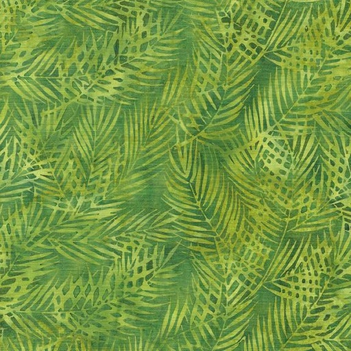 [112413682] Tossed Palm-Green Frog