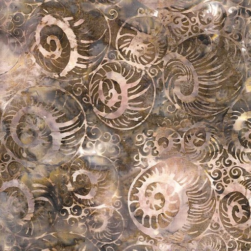 [512406067] Abstract Nautilus-Brown Toast
