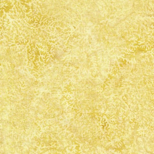[112417225] Coral-Yellow Bumblebee