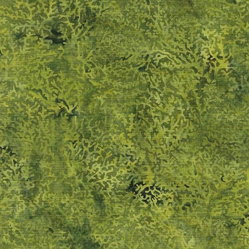 [112417650] Coral-Green Gecko