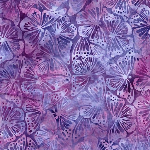 [112506895] Monarch-Multi Purple Magenta