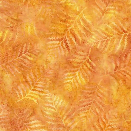 [712511235] Fern-Yellow Honey