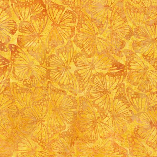 [112506235] Monarch-Yellow Honey