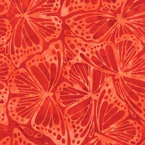 [112503280] Monarch Wings-Orange Copper