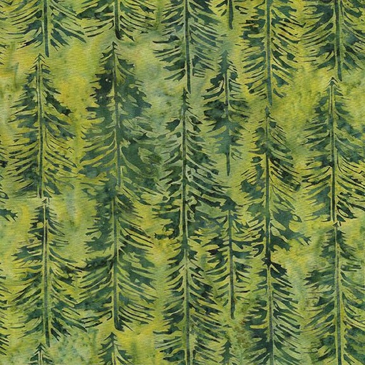 [122336645] Evergreen-Green Ivy