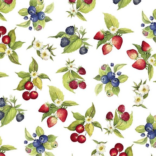 [W105-012-003] Fruit Toss-White