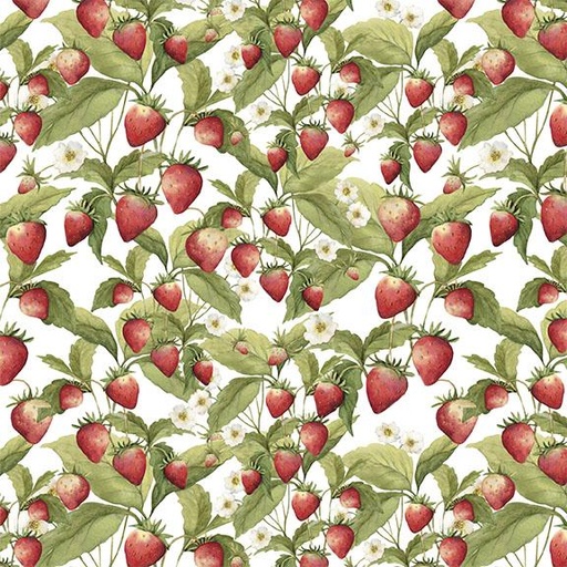 [W105-013-036] Strawberries-White