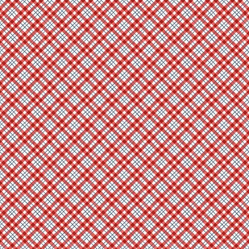 [W105-018-306] Diagonal Plaid-Red