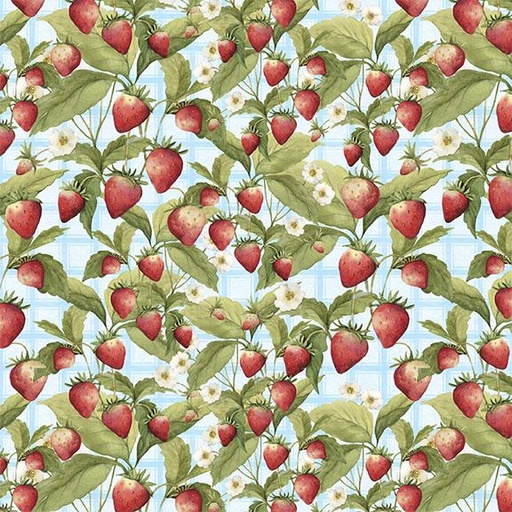 [W105-013-536] Strawberries-Blue