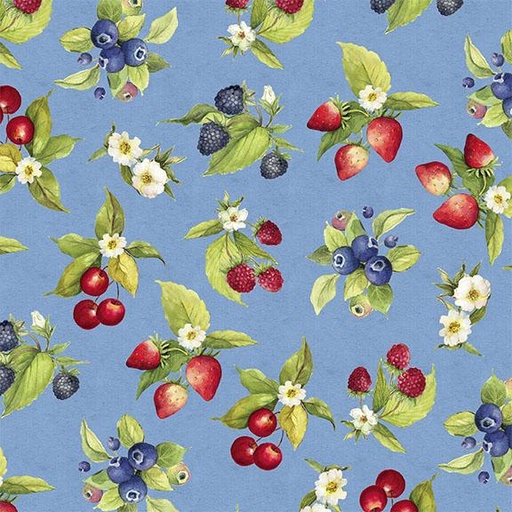 [W105-012-553] Fruit Toss-Blue