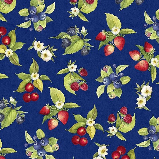 [W105-012-573] Fruit Toss-Navy