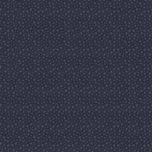 [W140-009-590] Tiny Stars-Navy