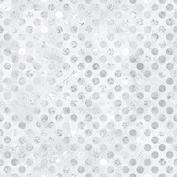 [W165-001-041] Codici-Silver