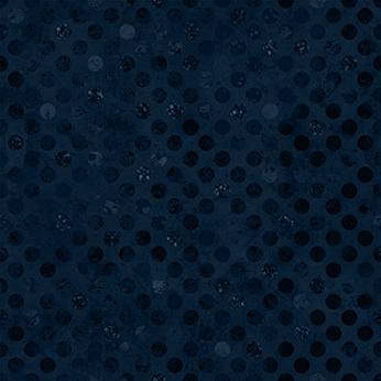 [W165-001-585] Codici-Navy